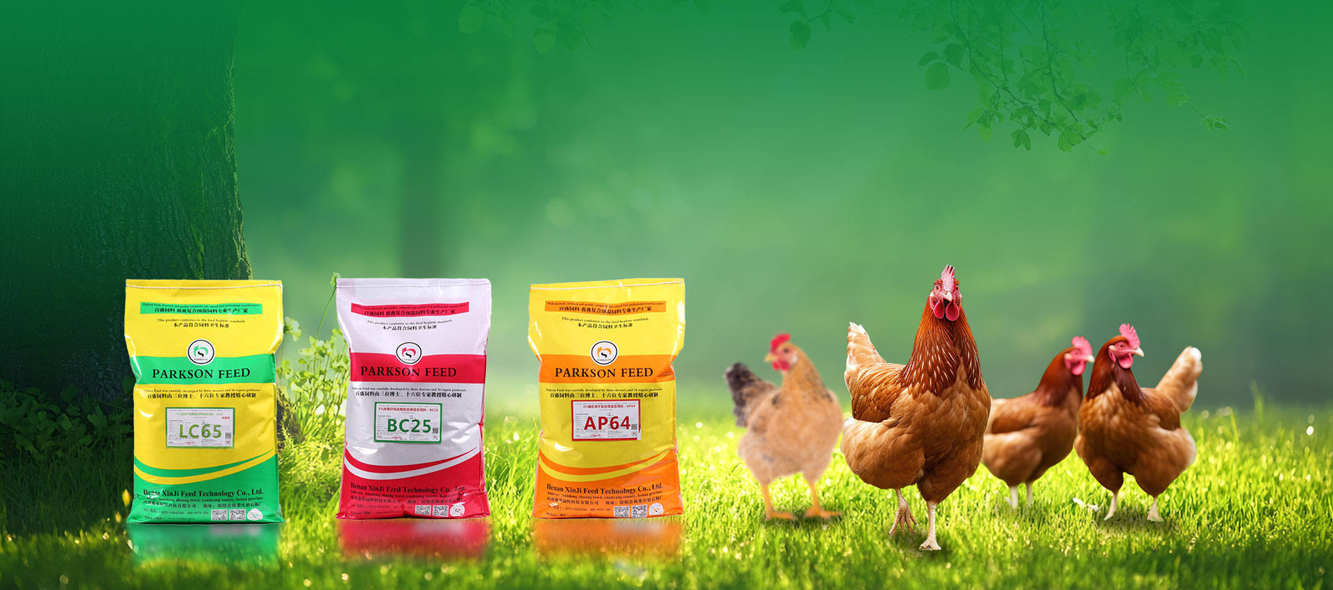 Fabricante profesional de premixes de aves